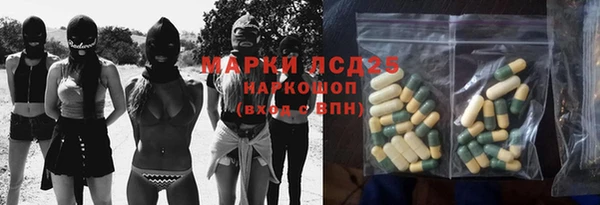 прущие грибы Богданович