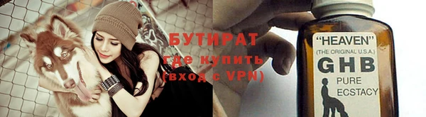 прущие грибы Богданович