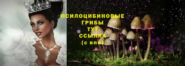 прущие грибы Богданович