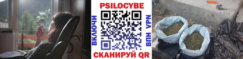darknet как зайти  Верхотурье  Псилоцибиновые грибы Magic Shrooms 